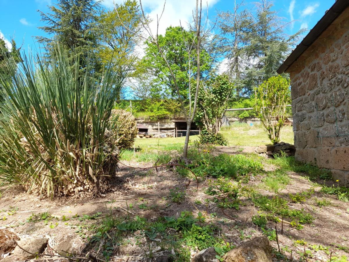 Il Sentiero Villa Acquapendente Ngoại thất bức ảnh
